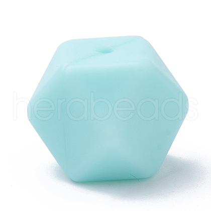 Food Grade Eco-Friendly Silicone Focal Beads SIL-Q009B-62-1
