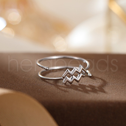 Twelve Constellations 925 Sterling Silver Finger Rings FS-WGD38E8-21-1