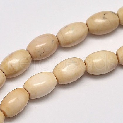 Oval Natural Magnesite Beads Strands G-M138-40-1