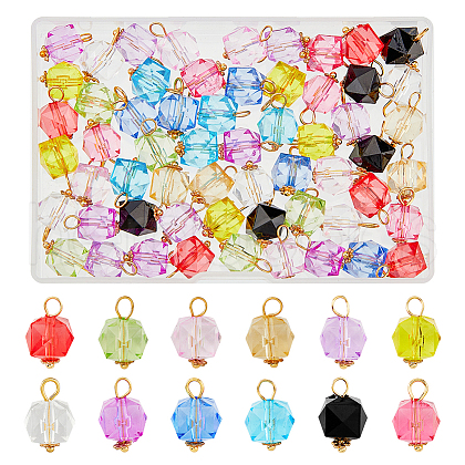 60Pcs 12 Colors Transparent Acrylic Pendants PALLOY-AB00123-1