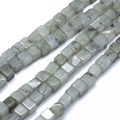 Natural Labradorite Beads Strands G-F631-C08-1