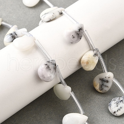Natural White African Opal Beads Strands G-Q183-B11-01-1