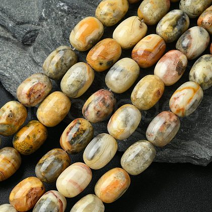 Barrel Shaped Gemstone Natural Crazy Lace Agate Beads Strands G-S114-08-1
