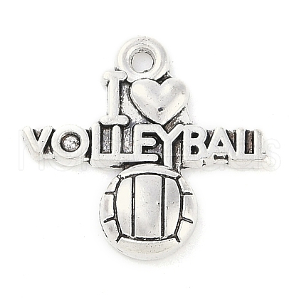 Tibetan Style Alloy Message Pendants TIBEP-Q043-099-RS-1