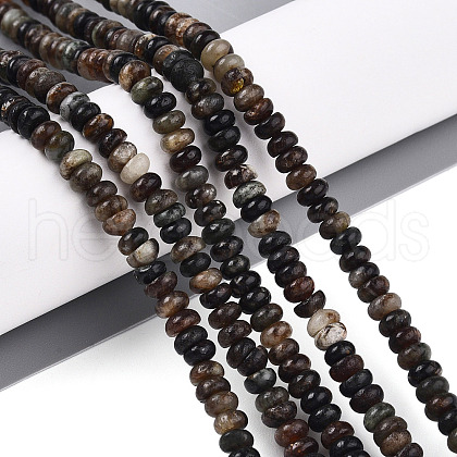 Natural Biotite Beads Strands G-T140-69B-1
