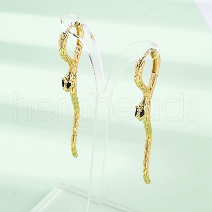 Snake Brass Hoop Earrings EJEW-R025-27G-1