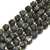 Natural Larvikite Beads Strand G-I376-D67-01-1