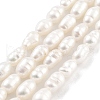 Natural Cultured Freshwater Pearl Beads Strands PEAR-P062-04C-2