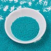 MIYUKI Delica Beads SEED-X0054-DB0793-2