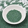 MIYUKI Delica Beads SEED-X0054-DB2311-3
