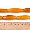 Natural Agate Dyed Beads Strands G-T138-230H-5