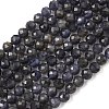 Natural Iolite Beads Strands G-J400-E05-02B-1