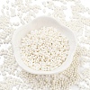 Baking Paint Glass Seed Beads SEED-A033-05D-2