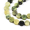 Natural Serpentine Beads Strands G-N346-06A-02-4