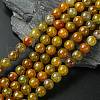 Dyed Natural Dragon Veins Agate Beads Strands G-C068-10mm-15-1
