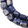 Natural Sodalite Beads Strands G-R015-A03-4