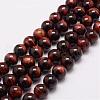 Natural & Dyed & Heated Tiger Eye Bead Strands G-P230-12-8mm-1