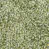 6/0 Transparent Inside Colours Glass Seed Round Beads X1-SEED-N006-004H-3