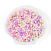 Opaque Colours Luster Glass Seed Beads SEED-N008-02A-M-1