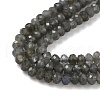 Natural Labradorite Beads Strands G-L622-B02-4x2mm-4