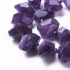 Natural Amethyst Beads Strands G-P434-10A-3