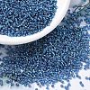 MIYUKI Round Rocailles Beads SEED-X0054-RR1025-4