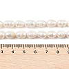 Natural Cultured Freshwater Pearl Beads Strands PEAR-I007-01D-04A-5