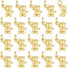 CHGCRAFT 20Pcs Alloy Charms KK-CA0003-59-1