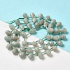 Natural Amazonite Beads Strands G-H297-B07-01-2