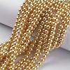 Glass Pearl Beads Strands X-HY-6D-B28-4
