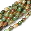 Natural Peacock Agate Beads Strands G-D0005-08-1