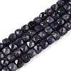 Natural Sapphire Beads Strands G-N342-111-1