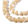 Natural Trochid Shell/Trochus Shell Beads Strands SSHEL-S266-023B-02-3