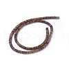 Natural Picture Jasper Beads Strands G-G783-10A-2