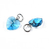 Faceted Transparent Glass Charms GLAA-T024-04E-3