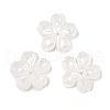 Natural White Shell Carved Beads SSHEL-I026-12D-05-1