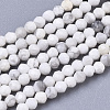 Natural Howlite Beads Strands G-R462-007-1