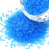 15/0 Transparent Czech Glass Seed Beads SEED-N004-004-04-1