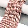 Natural Argentina Rhodonite Beads Strands G-Z057-A01-01-2