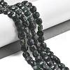 Natural Black Jade Beads Strands G-C179-A14-02-5