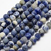 Natural Sodalite Beads Strands G-J364-01-4mm-1