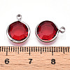 K9 Glass Charms X1-GLAA-T023-37B-03-3