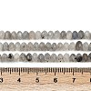 Natural Labradorite Beads Strands G-RM2025-C41-3x5mm-B-5
