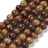Natural Gemstone Beads Strands G-H045-A01-10MM-2