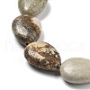 Natural Picture Jasper Beads Strands G-P528-L24-01-4