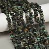 Natural African Turquoise(Jasper) Beads Strands G-F794-A01-1