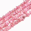 Freshwater Shell Beads Strands X-SHEL-S270-05-1