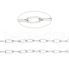 Tarnish Resistant 304 Stainless Steel Paperclip Chains CHS-F010-01B-P-1