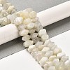 Natural White Moonstone Beads Strands G-N327-05-04-2