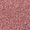 MIYUKI Delica Beads SEED-X0054-DB1481-1